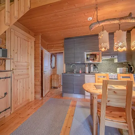 Levillas Lomakoto 1 Levi